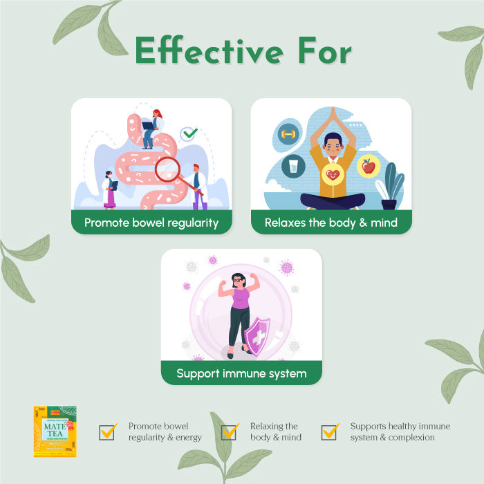 Maté Tea 30s - Fei Fah Medical Manufacturing Pte. Ltd.