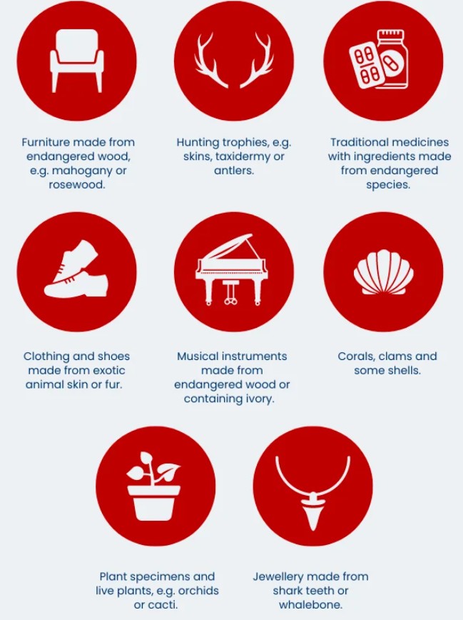 CITES Permit (for international orders that include Crocodile Oil products only)