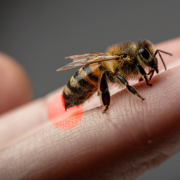 Bee Venom for Arthritis: What the Science Says