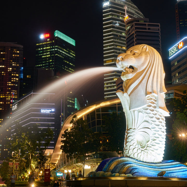 Iconic Singaporean Treats and Souvenirs for Tourists