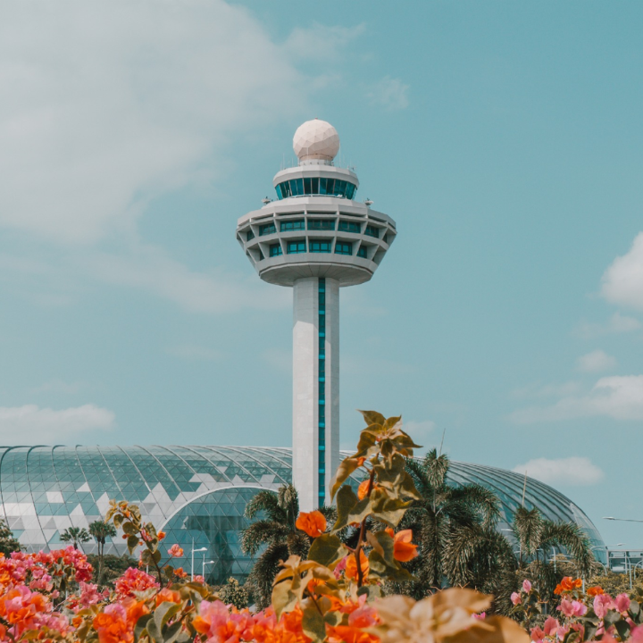 Tourist Must Buy Singapore Changi Airport Guide