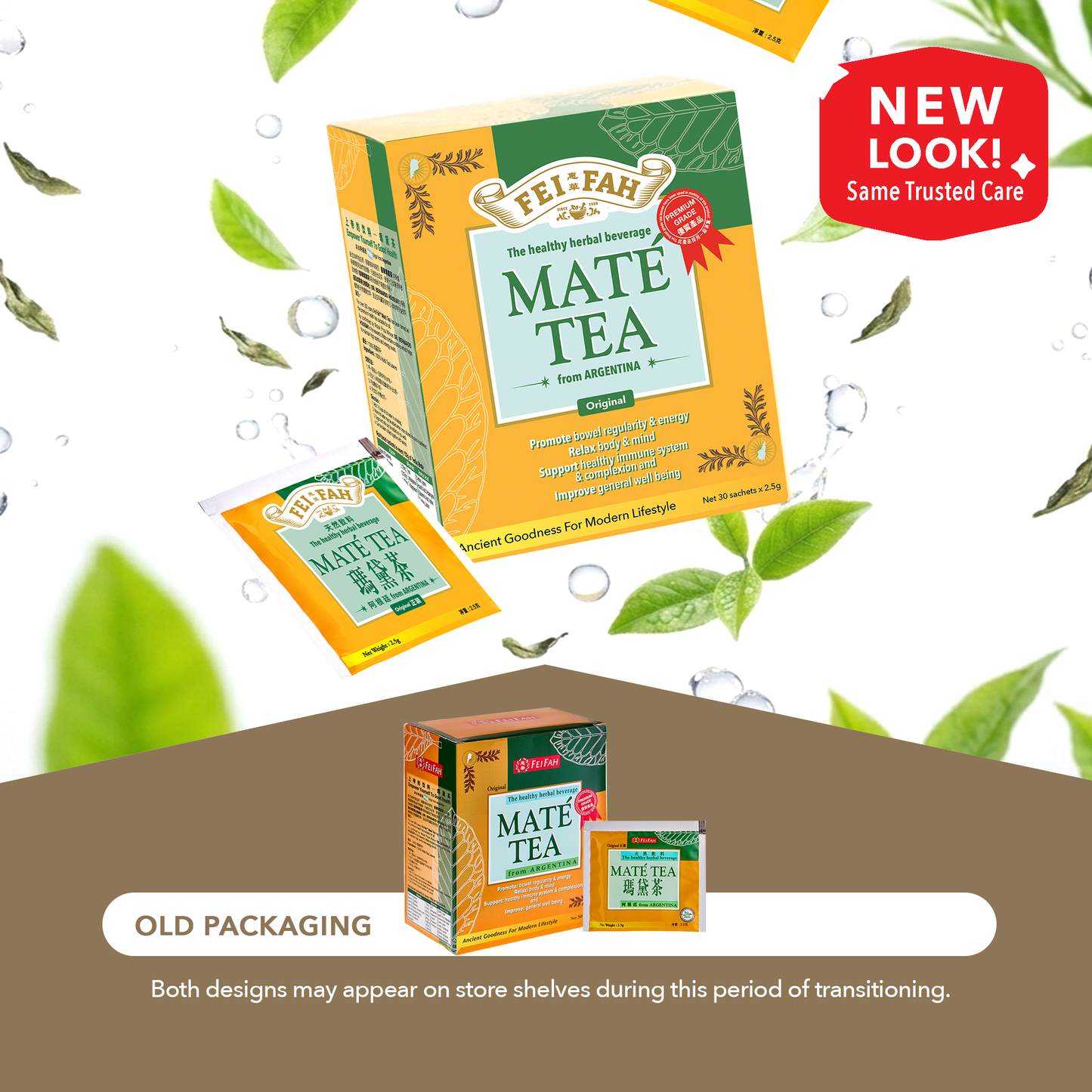 Maté Tea