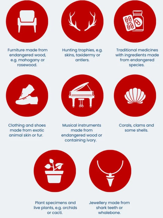 CITES Permit (for international orders that include Crocodile Oil products only)